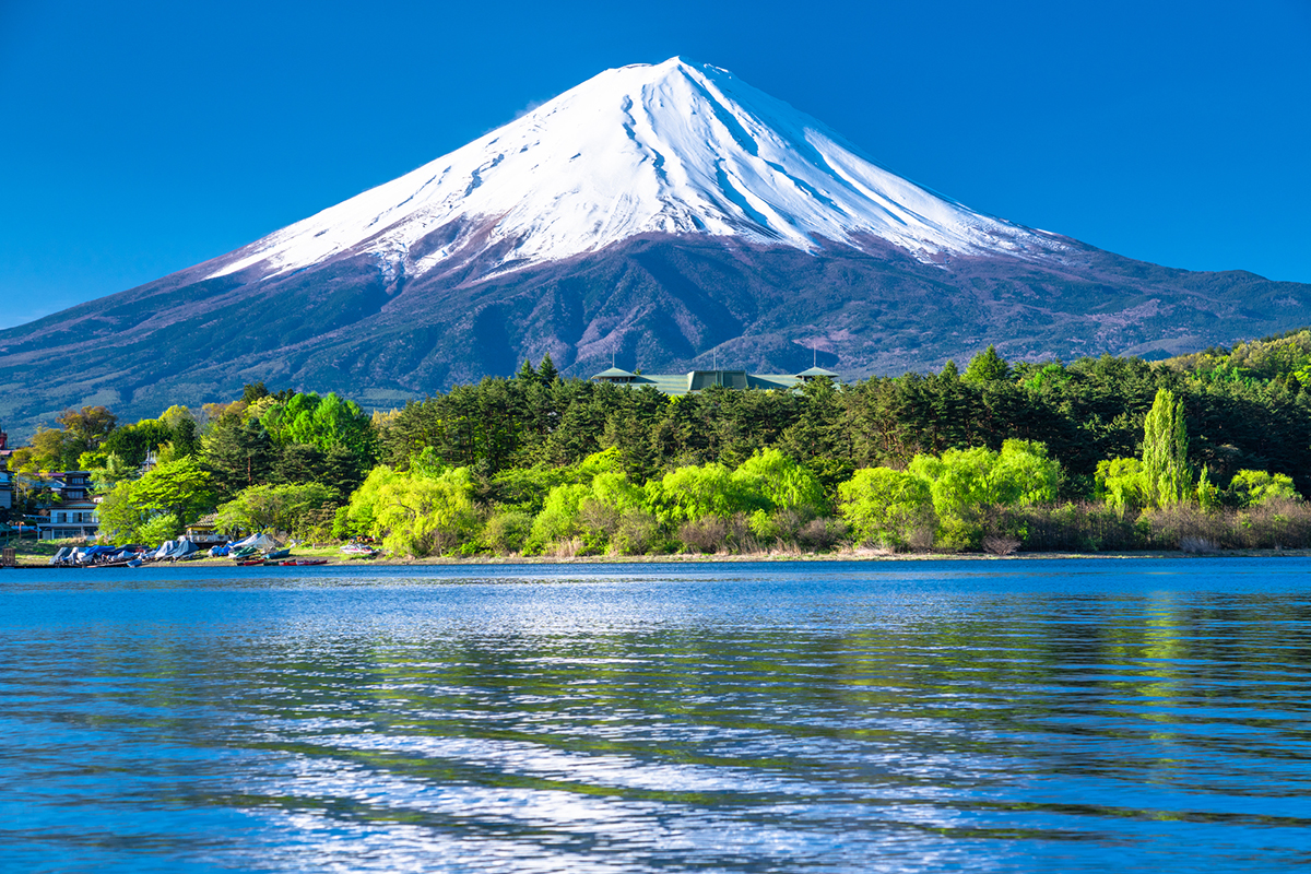 日本歯科医師アマチュア無線連盟